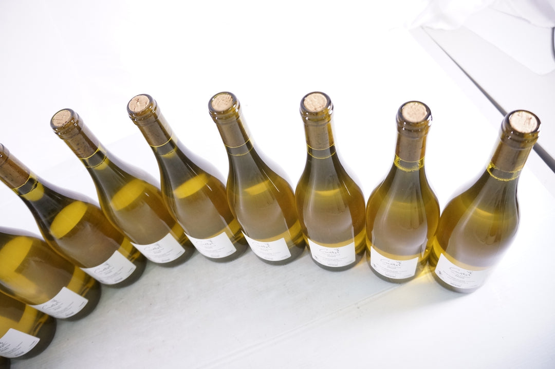 Florian Curtet Tonnerre de Gres 2020