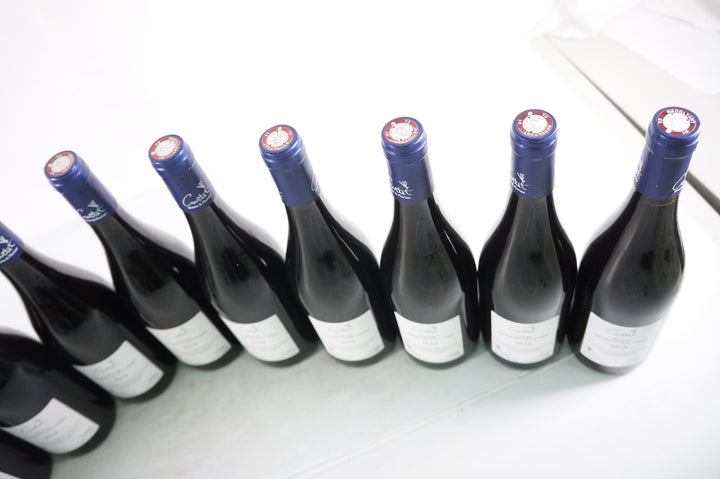 Florian Curtet Frisson des Cimes 2019