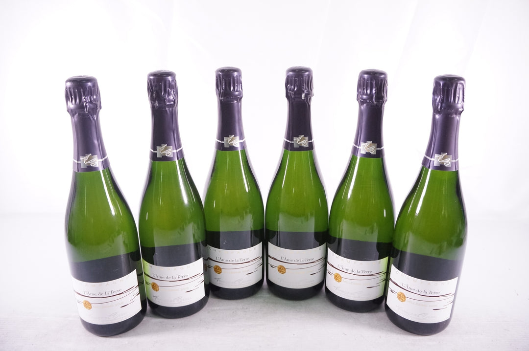 Francoise Bedel L'Ame de la Terre Extra Brut Millesime 2006