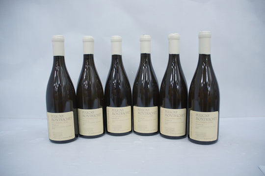 Pierre Yves Colin Morey Puligny Montrachet Champs Gains 1er Cru 2013