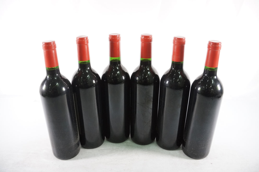 Dominus 1995