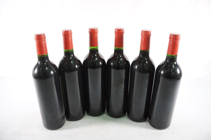 Dominus 1995