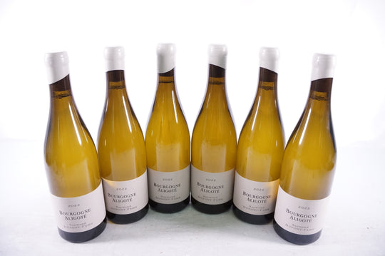 Dupont Fahn Raymond Bourgogne Aligote 2022