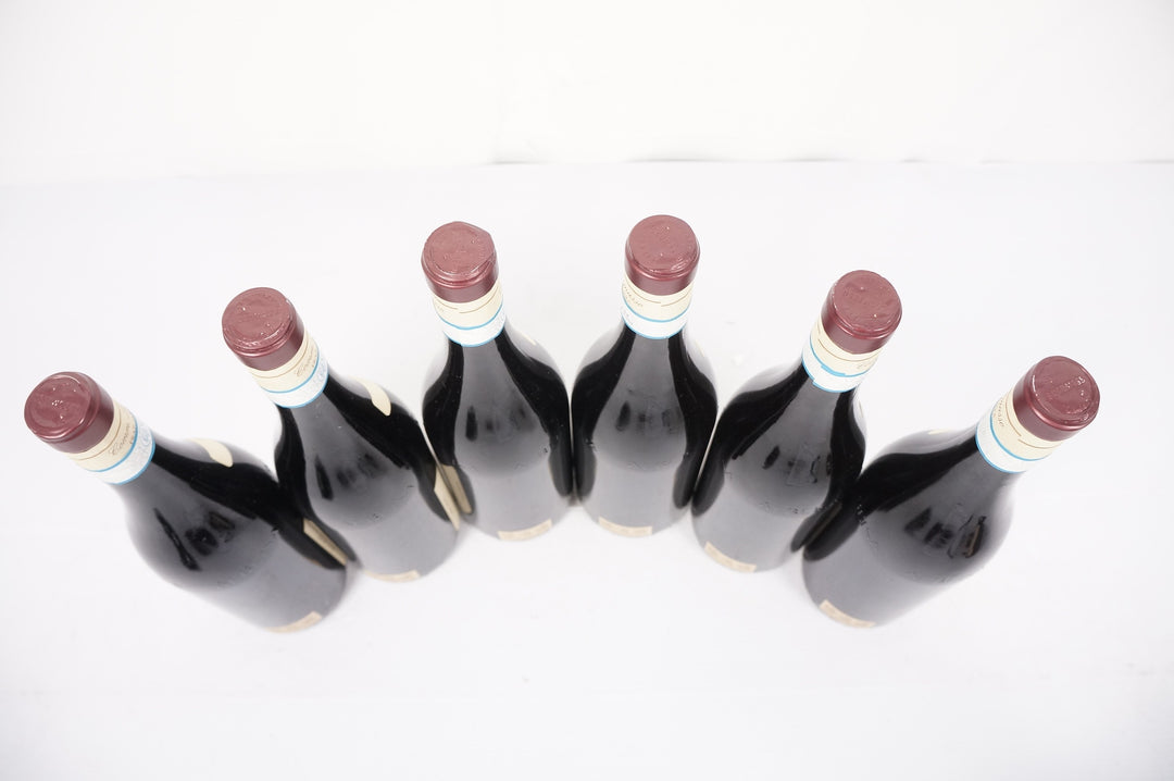 Lorenzo Accomasso Dolcetto d'Alba 2021