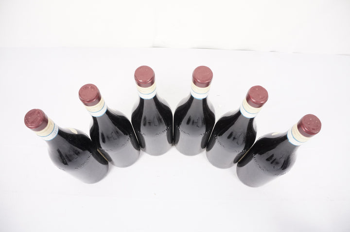Lorenzo Accomasso Barbera d'Alba Pochi Filagn 2018