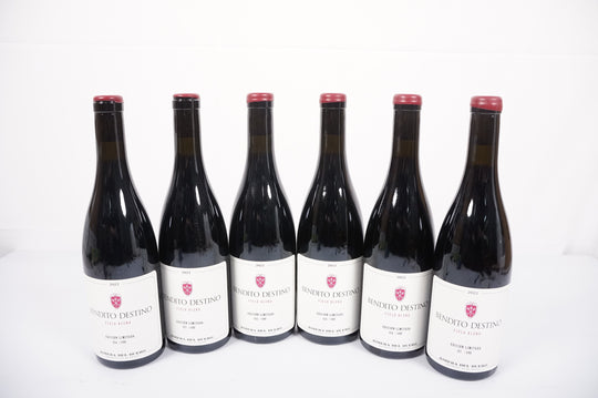 Bendito Destino Field Blend 2022