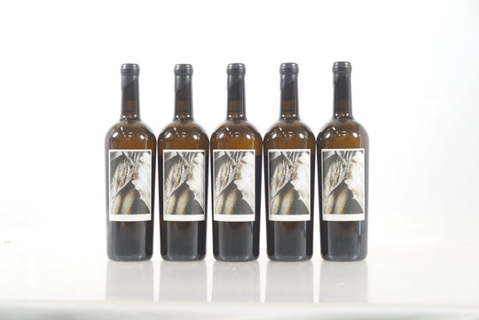 Sine Qua Non Resiste 2013