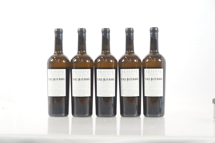 Sine Qua Non Resiste 2013