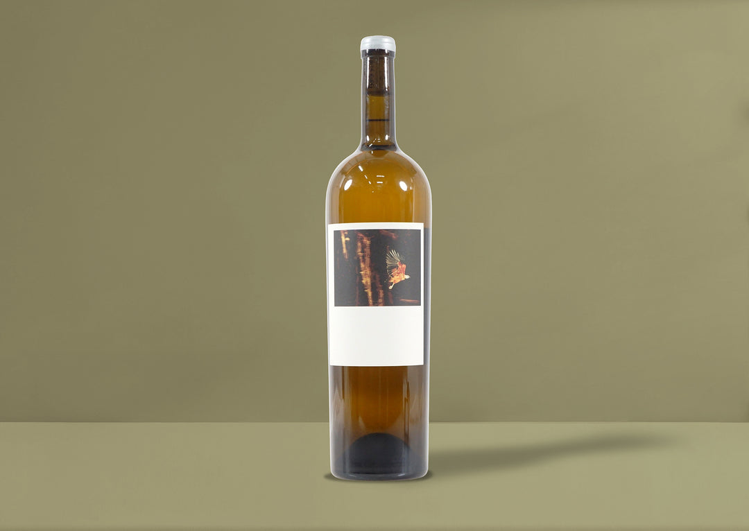 Sine Qua Non Tectumque Magnum 2017