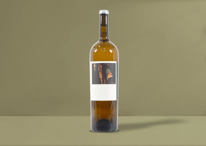 Sine Qua Non Tectumque Magnum 2017