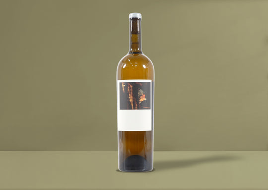 Sine Qua Non Tectumque Magnum 2017