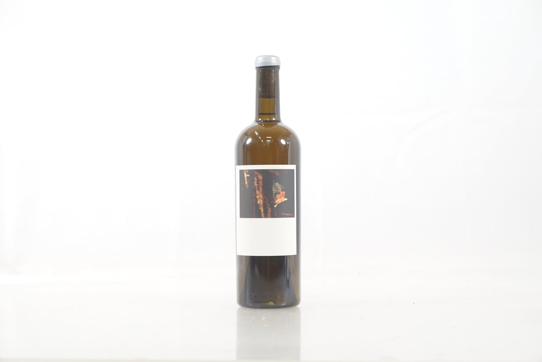 Sine Qua Non Tectumque 2017