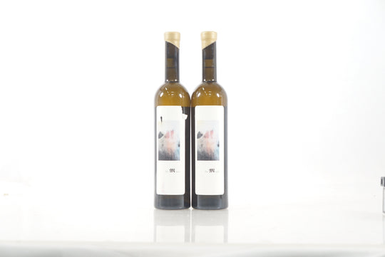 Sine Qua Non The Moment 2011 *