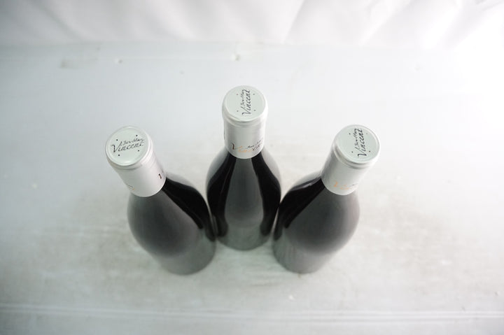 Jean Marc Vincent Santenay Beaurepaire 1er Cru Rouge 2020