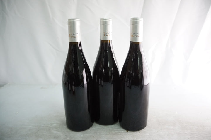 Jean Marc Vincent Santenay Les Gravieres 1er Cru Rouge 2020