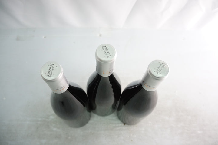 Jean Marc Vincent Santenay Les Gravieres 1er Cru Rouge 2020