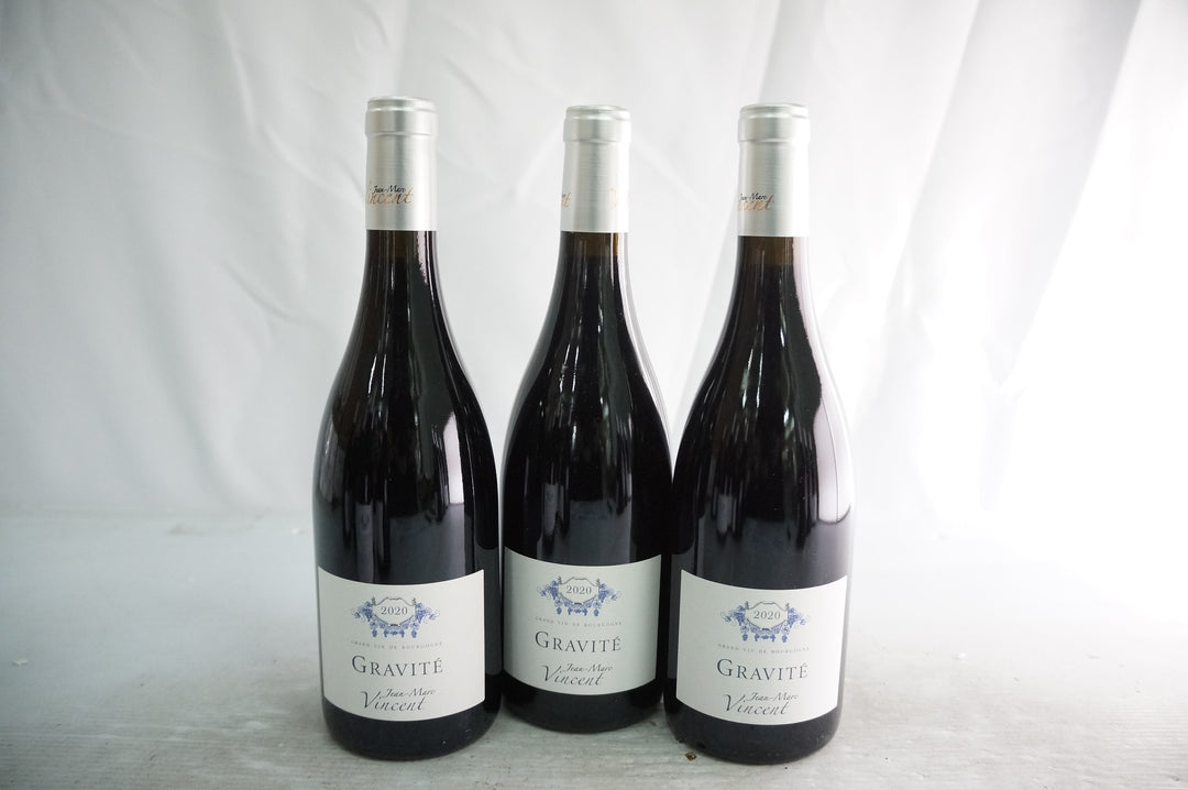Jean Marc Vincent Santenay Gravite Rouge 2020