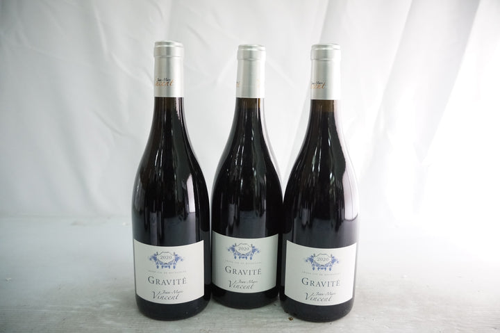 Jean Marc Vincent Santenay Gravite Rouge 2020