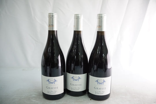 Jean Marc Vincent Santenay Gravite Rouge 2020