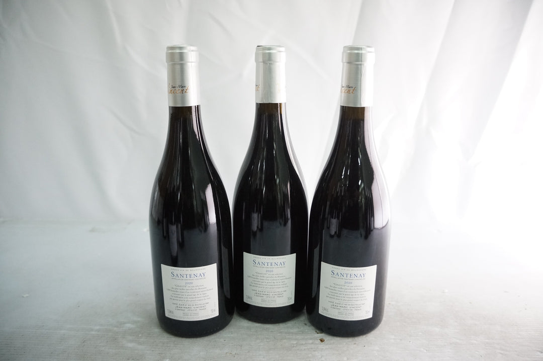 Jean Marc Vincent Santenay Gravite Rouge 2020