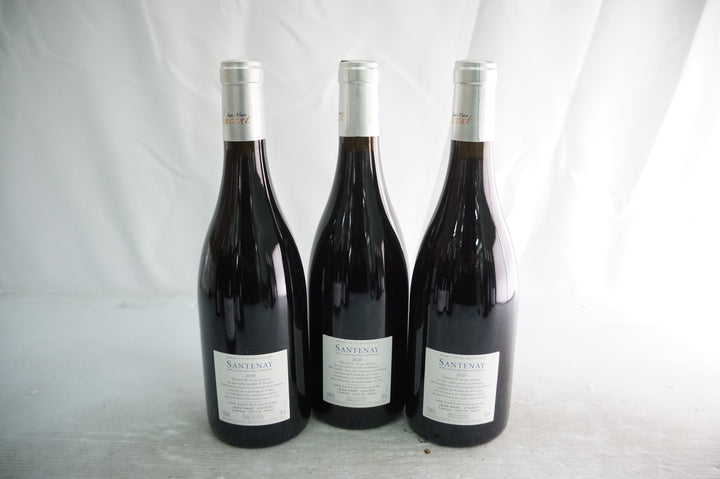 Jean Marc Vincent Santenay Gravite Rouge 2020