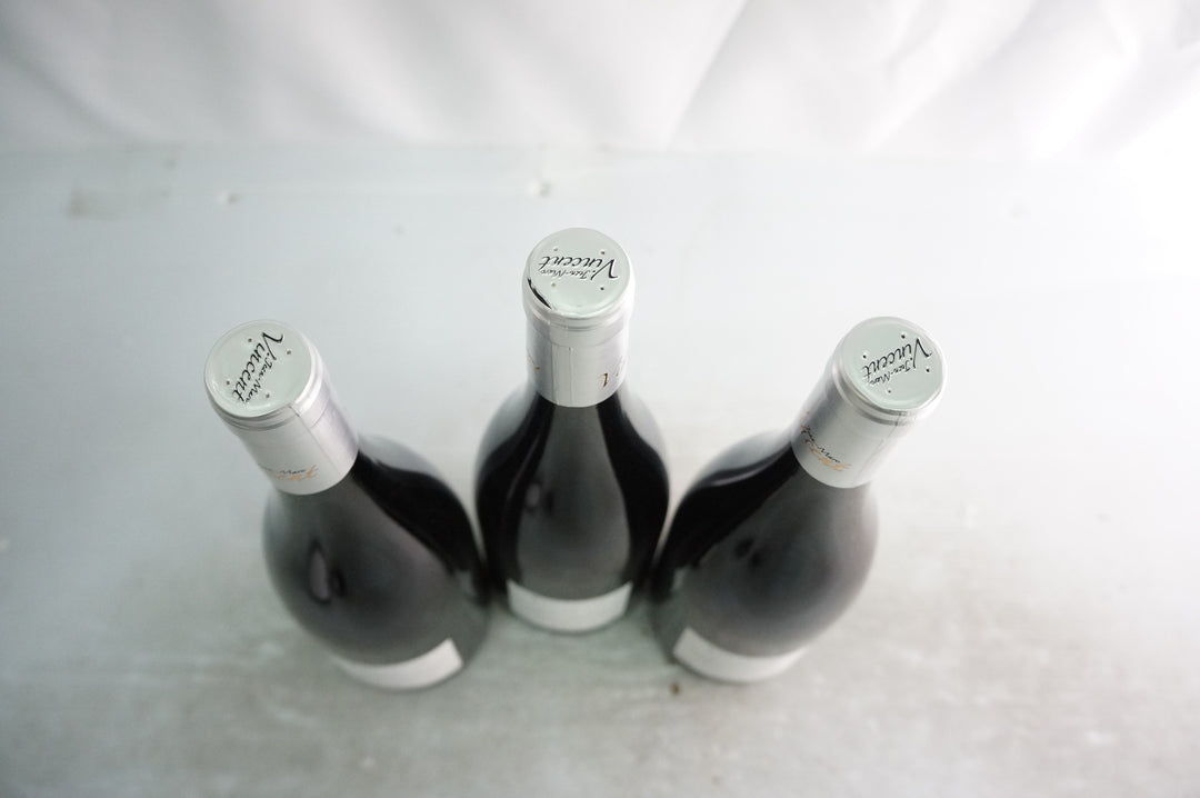 Jean Marc Vincent Santenay Gravite Rouge 2020