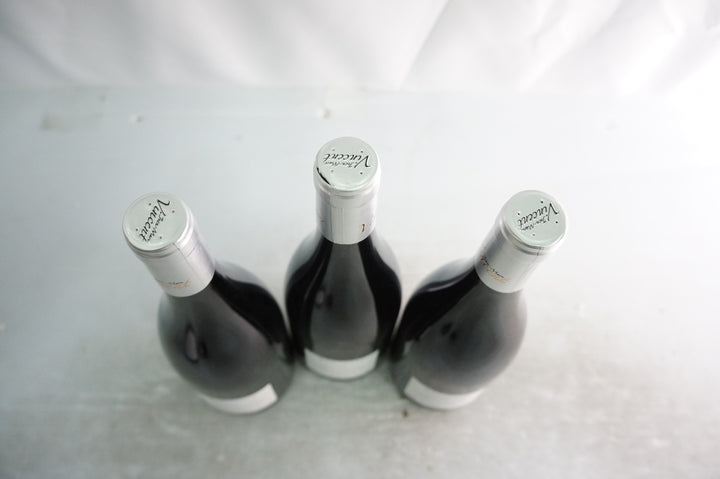 Jean Marc Vincent Santenay Gravite Rouge 2020