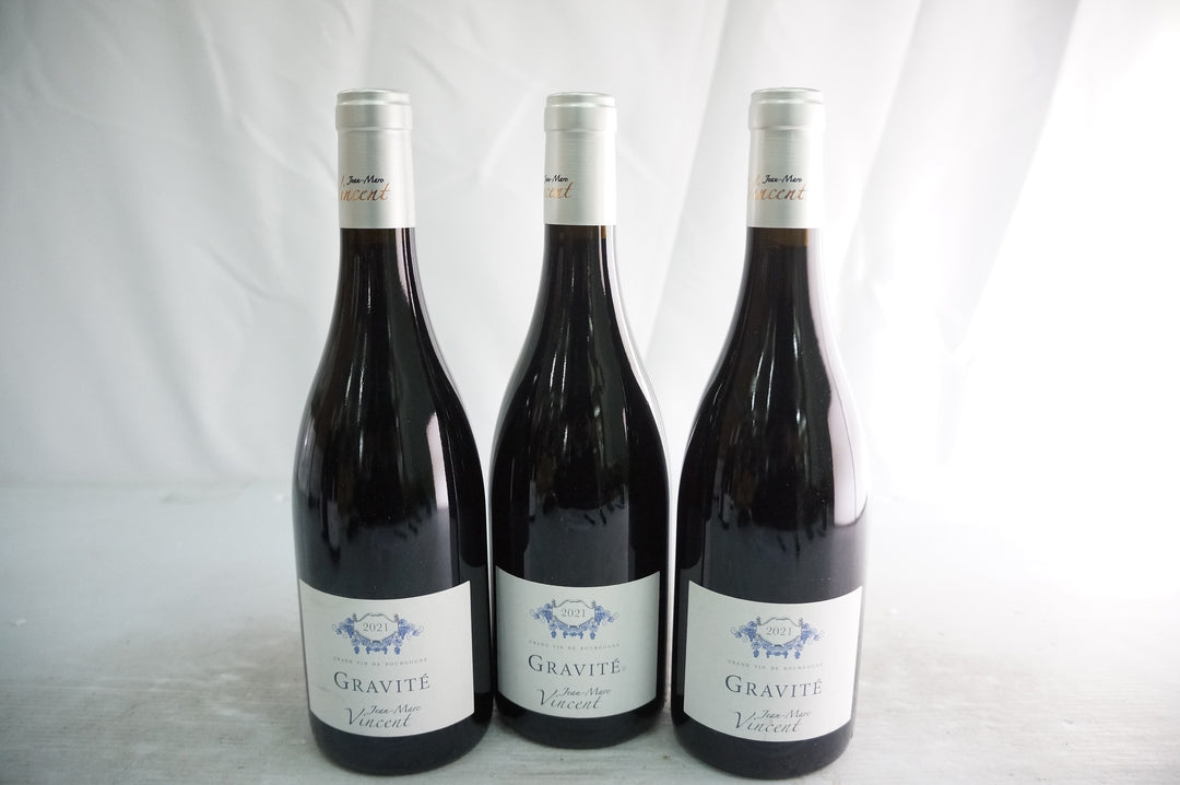 Jean Marc Vincent Santenay Gravite Rouge 2021