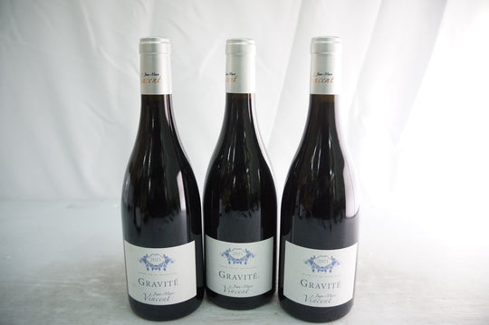 Jean Marc Vincent Santenay Gravite Rouge 2021