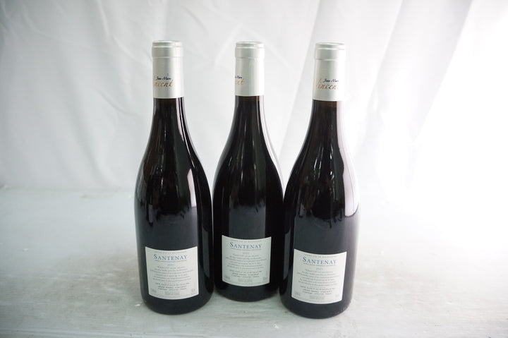 Jean Marc Vincent Santenay Gravite Rouge 2021