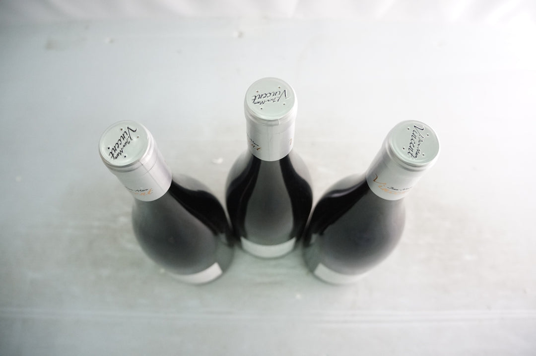 Jean Marc Vincent Santenay Gravite Rouge 2021