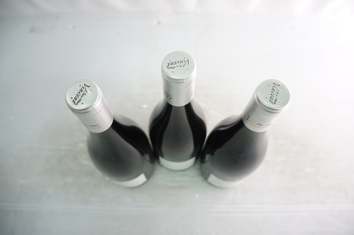 Jean Marc Vincent Santenay Gravite Rouge 2021