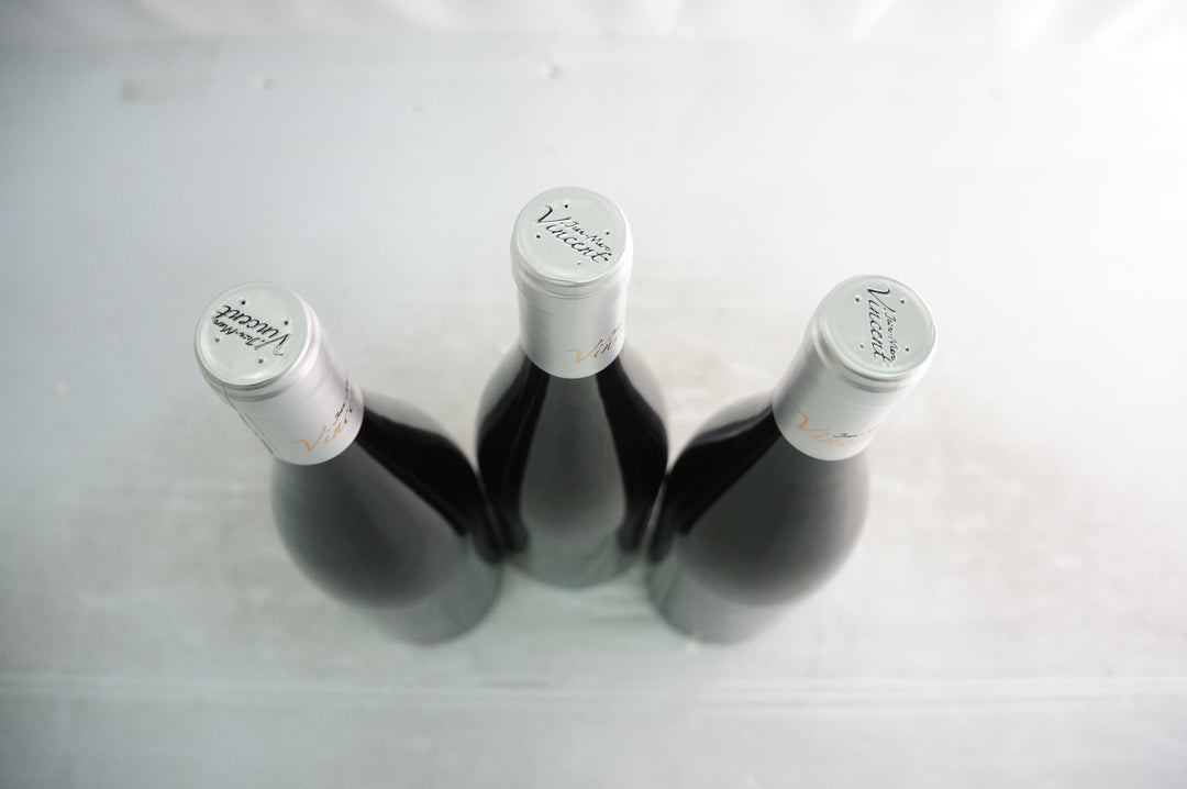 Jean Marc Vincent Santenay Les Gravieres 1er Cru Rouge 2022