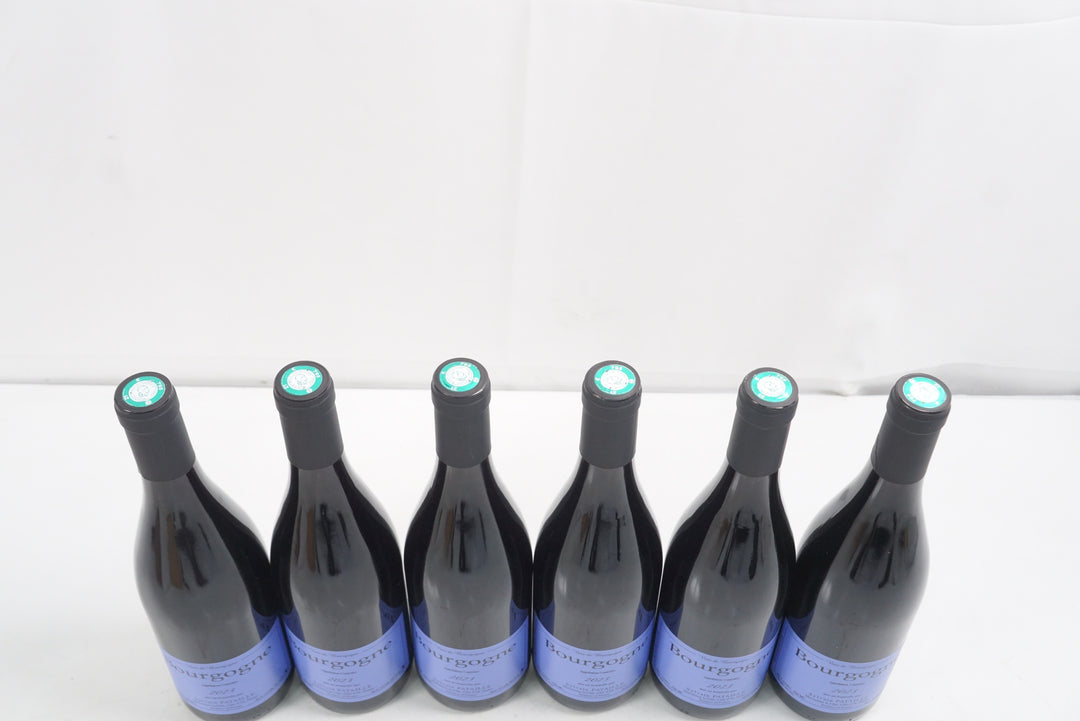 Sylvain Pataille Bourgogne Rouge 2023