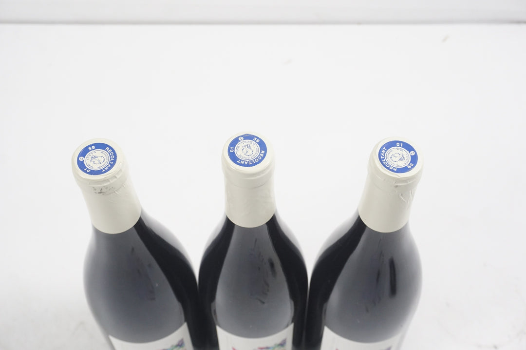 Julien Labet Metis Rouge 2023