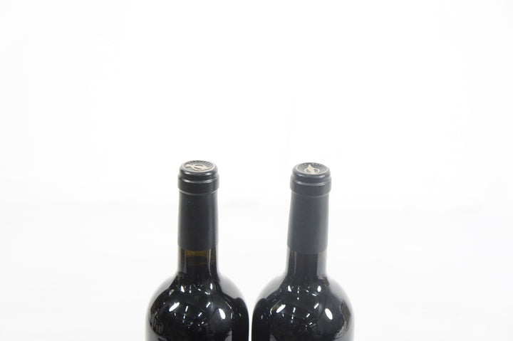 Dalla Valle Maya 1996