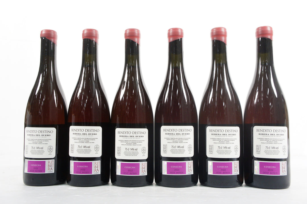 Bendito Destino Navazal Clarete 2022