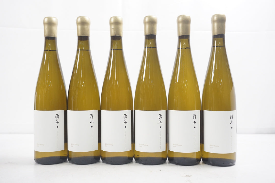The Starting Point Riesling 2022