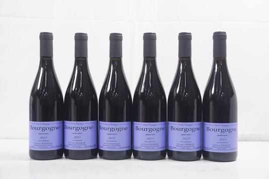Sylvain Pataille Bourgogne Rouge 2023