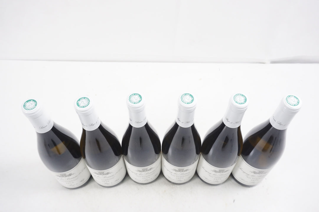Simon Bize Savigny Les Beaune 1er Cru Aux Vergelesses Blanc 2020