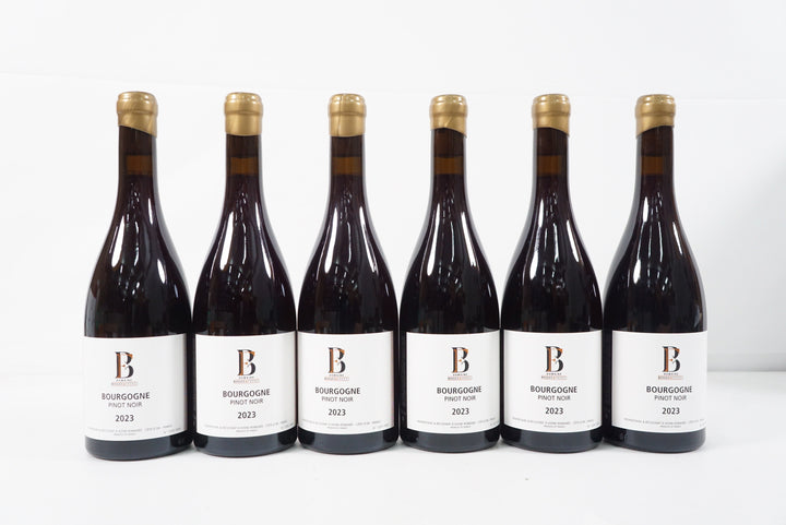Boigey Freres Bourgogne Rouge 2023