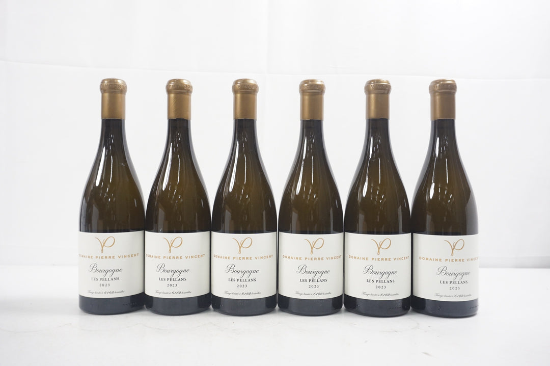 Pierre Vincent Bourgogne Les Pellans 2023