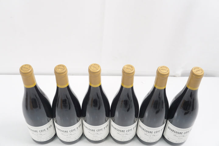 Maxime Dubuet Boillot Bourgogne Cote d'Or Pinot Noir 2023