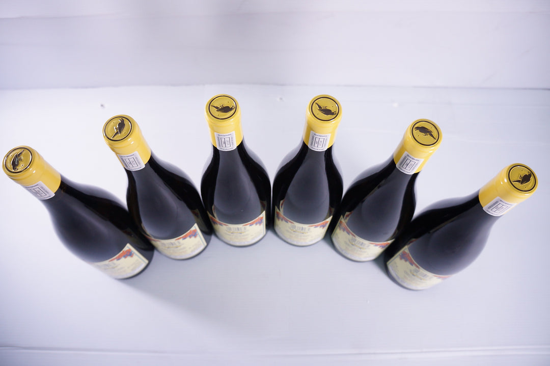 A.A. Badenhorst Sout Van Die Aarde Palomino 2021