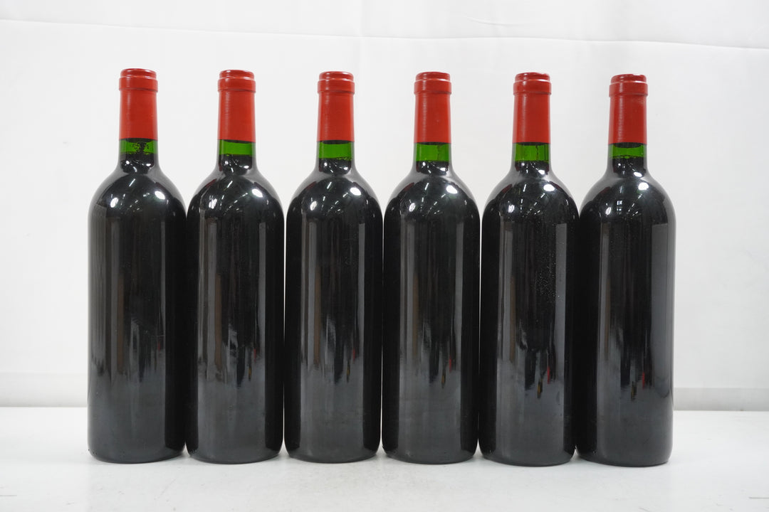 Dominus 1995