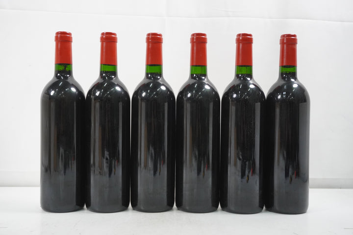 Dominus 1995