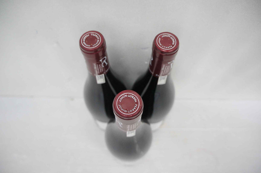 Perrot Minot Gevrey Chambertin 2016