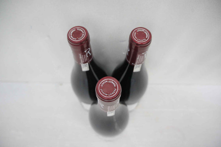 Perrot Minot Gevrey Chambertin 2016