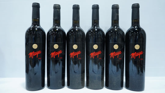 Dalla Valle Maya 1993