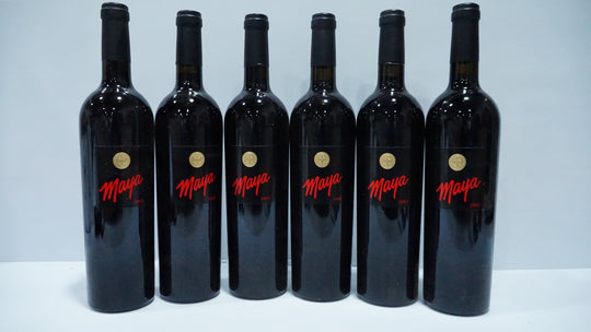 Dalla Valle Maya 1993